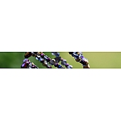 Jewellery & Beading Tutorials
