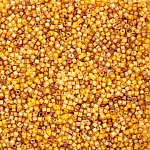 Miyuki Delica Size 11 Seed Beads Luminous Mix (1) 7.2g