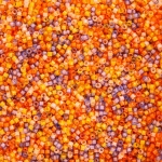 Miyuki Delica Size 11 Seed Beads Luminous Mix (2) 7.2g