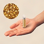 Toho Round Seed Beads 11/0 24K Gold Lined Crystal 8.2g