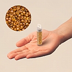 Miyuki Size 15/0 Lined Topaz Yellow AB Seed Beads 8.2g