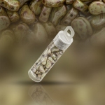 Czech Paisley Duo 2 Hole Beads Chalk Lazure Green 8.5g
