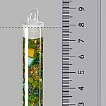 Seed Bead Selection Green/Yellow Mix Glass Beads 15g