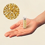 Miyuki Delica Seed Beads Size 11 Silver Lined Gold 7.2g