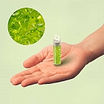 Miyuki Seed Beads Long Magatama Trans. Chartreuse 8.5g