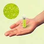 Miyuki Delica Seed Beads Transparent Chartreuse 7.2g
