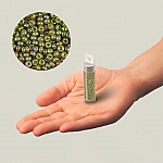 Miyuki Round Seed Beads Size 15/0 Olive AB 8.2g Miyuki Round Seed Beads Size 15/0 Olive AB 8.2g