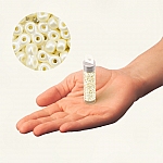 Infinity Glass Beads 3x6mm Pastel Light Cream/Off White 8g