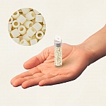 Miyuki Delica Seed Beads Size 8 Opaque Cream 6.8g Tube