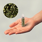 Miyuki Half Tila Beads Olive Green Gold Luster 5mm 7.8g