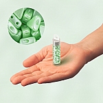 Czech Kheops® Par Puca® Beads Pastel Light Peridot 6mm Czech Kheops® Par Puca® Beads Pastel Light Peridot 6mm