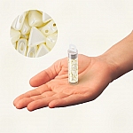 Kheops® Par Puca® Pastel Lt Cream/Off White 6mm Beads