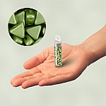 Kheops® Par Puca® Pastel Olivine 6mm Czech Glass Beads