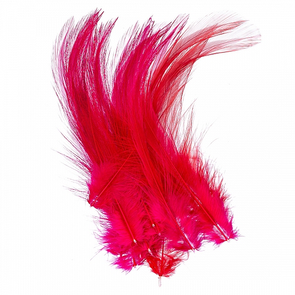 Dyed Red Craft Feathers 120mm – Pack of 20 Dyed Red Craft Feathers 120mm – Pack of 20
