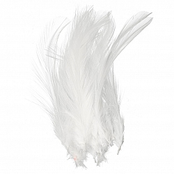 Dyed White Craft Feathers 120mm – Pack of 20