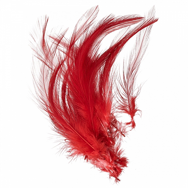 Dyed Scarlet Red Craft Feathers 120mm – Pack of 20