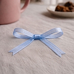 Organza Sheer Ribbon Light Blue 9mm – 1 Metres