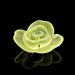 Acrylic Rose Flower Charm Pendants 28mm Green PK1