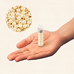 Toho Size 11 Seed Beads Opaque Luster Light Beige 8.2g