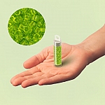 Toho Japanese Seed Beads 8/0 Transparent Lime Green 10g