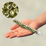 Toho Round 3/0 Seed Beads Gold Lustered Green Tea 19.5g