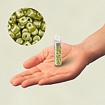 Minos® par Puca® 3mm Czech Glass Beads Pastel Lime - 9g