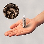 3 Hole Arcos® par Puca® Czech Glass Beads Dark Bronze 
