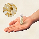 Czech Arcos® par Puca® 3 Hole Beads Pastel Cream 8 gram