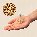 Miyuki Size 15/0 Round Seed Beads Galvanised Gold 8.2g