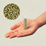 Miyuki 15/0 Beads Semi Matte Silver Lined Jonquil 8.2g