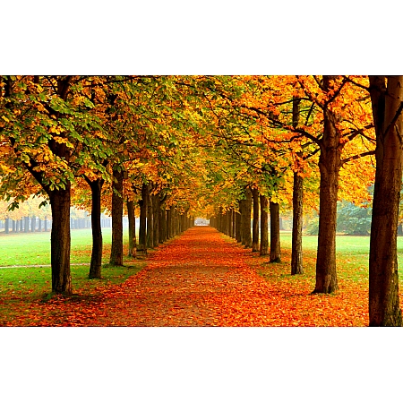 Autumn Inspiriations