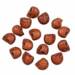 Brown Gothic Skull Beads Dyed Turquoise (10mm) - PK16