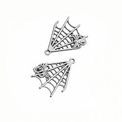 Tibetan Silver Plated Alloy Spider Web Charms 32mm PK2