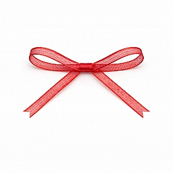 3mm Red Organza Sheer Ribbon – 5 Metres