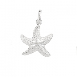 Sterling Silver 925 Starfish Charm With Bail (20mm) PK1