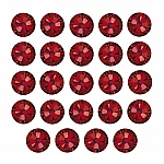 Swarovski Crystals Hotfix 2038 Flat Backs Siam SS6 PK24
