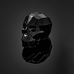 Swarovski 5750 Crystal Skull Bead 19mm Jet Crystal PK1