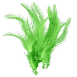 Dyed Green Craft Feathers Jewellery Making 120mm (PK20)