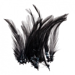 Dyed Black Craft Feathers Jewellery Making 120mm (PK20)