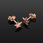 Rose Gold Vermeil 6mm Star Shape Scroll Back Earstuds