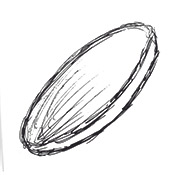 Disc/Coin