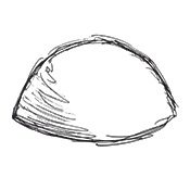 Dome