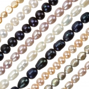 Freshwater Pearls
